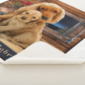 Labrador Retriever Sherpa Deken (3/4)