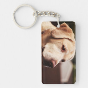 Labrador Retriever Sleutelhanger