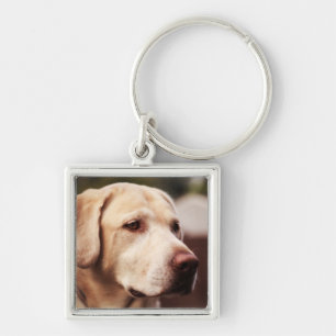 Labrador Retriever Sleutelhanger