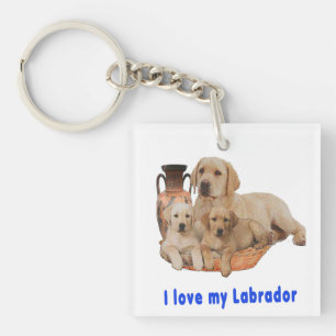 Labrador Retriever Sleutelhanger