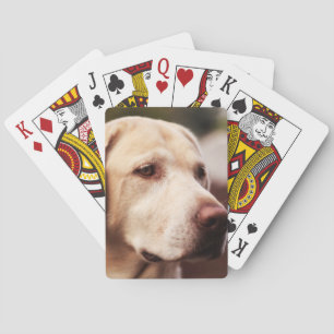 Labrador Retriever Speelkaarten