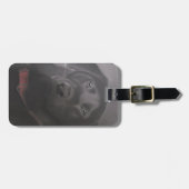 Labrador Retriever Tekening Bagagelabel (Voorkant horizontaal)