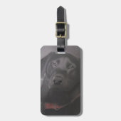 Labrador Retriever Tekening Bagagelabel (Voorkant verticaal)