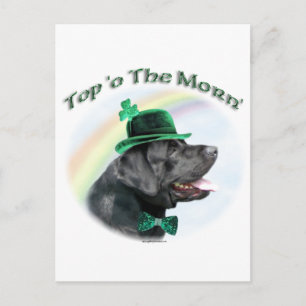 Labrador Retriever Top of the Morn Briefkaart