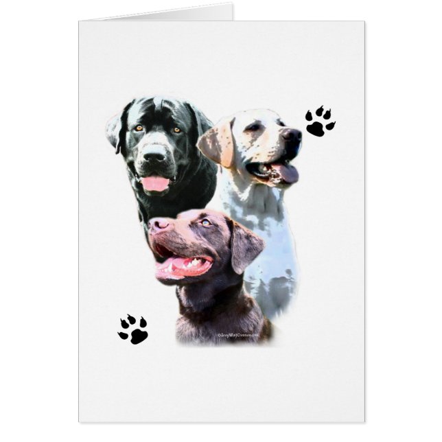 Labrador Retriever Trio (Devant)
