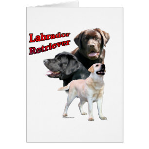 Labrador Retriever Trio 2