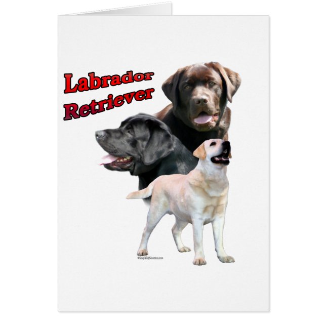 Labrador Retriever Trio 2 (Devant)