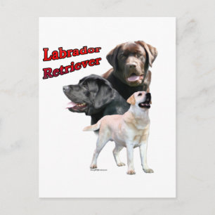 Labrador Retriever Trio 2 Briefkaart