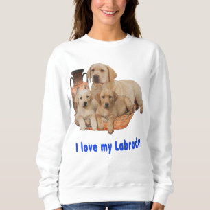Labrador Retriever Trui