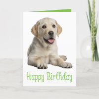 Labrador Retriever Verjaardag Yellow Lab Puppy Hon