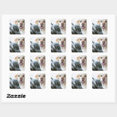 Labrador Retriever Vierkante Sticker (Vel)