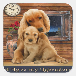 Labrador Retriever Vierkante Sticker