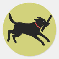 Labrador Retriever (Zwart)