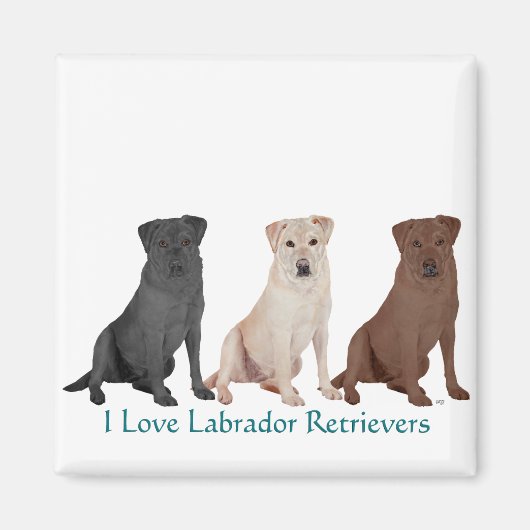 Labrador Retrievers - 3 Kleuren om van te houden Magneet (Voorkant)