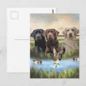 labrador retrievers (jachthonden) briefkaart (Voorkant / Achterkant)
