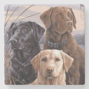 Labrador Retrievers Stenen Onderzetter