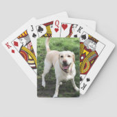 Labrador-spelkaarten Pokerkaarten (Achterkant)