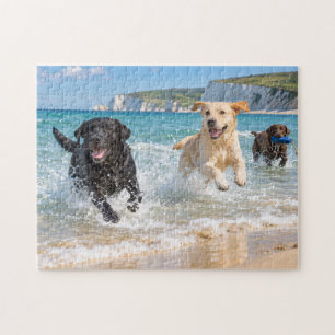 Labrador Trio Kuststrand Spattende Speelontwerp Legpuzzel