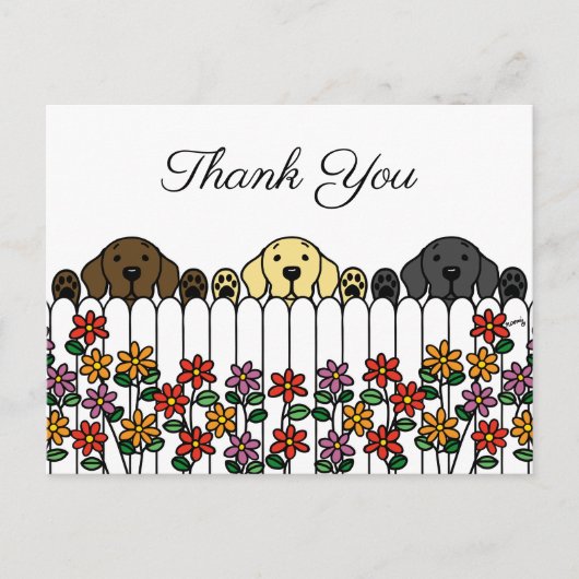 Labrador Trio Vous regarde Carte postale Merci (Devant)