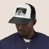 Labrador Trucker Pet (In situ)