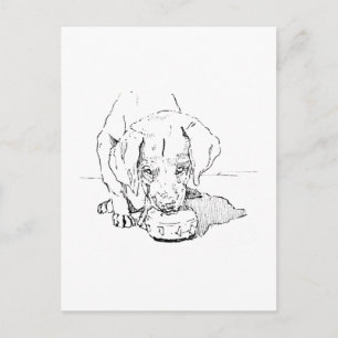 Labrador Welpen Ansichtkaart voor Hondenliefhebber Briefkaart