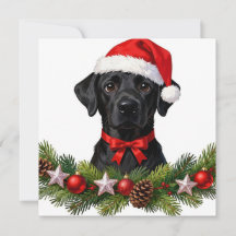 Labrador wenskaart