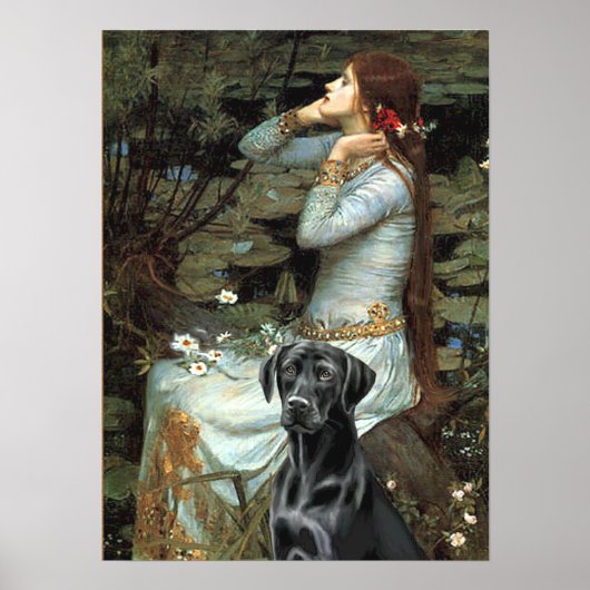 Labrador (zwart 1) - Ophelia Poster (Voorkant)