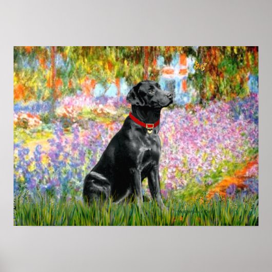 Labrador (zwart) - Tuin Poster (Voorkant)