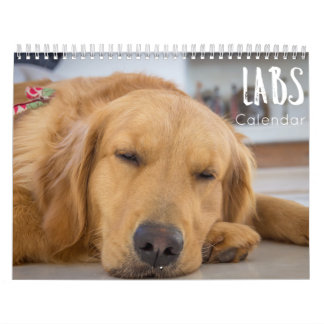 labradorkalender 2023 kalender