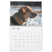 labradorkalender 2023 kalender (Mar 2026)