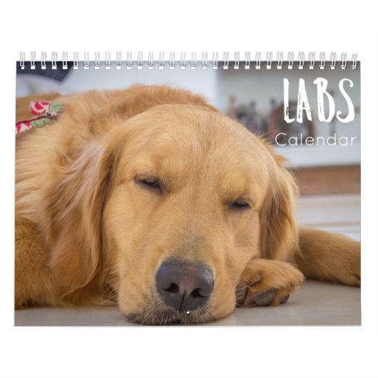 labradorkalender 2023 kalender (Hoes)
