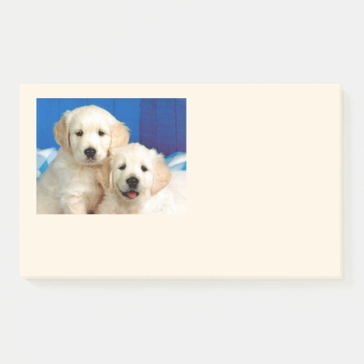 Labradorpups Post-it® Notes (Voorkant)