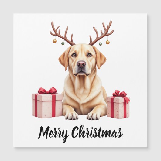 Labradorrendier (Voorkant)