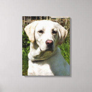 LABRADORS CANVAS AFDRUK