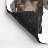 labradors muismat (Hoek)