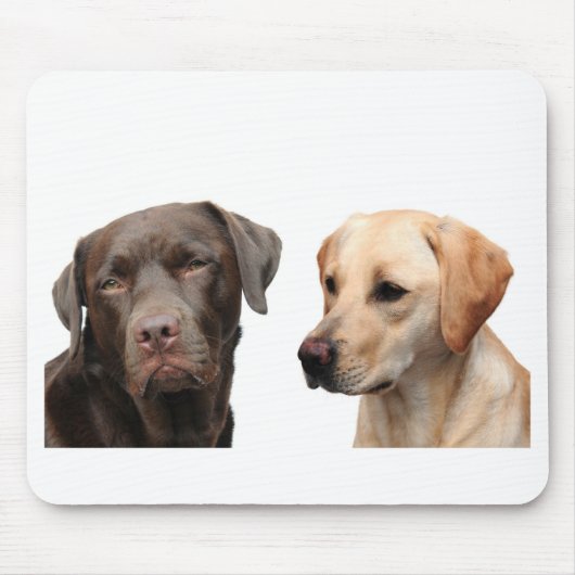 labradors muismat (Voorkant)
