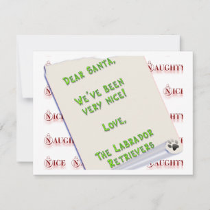 Labradors niets en aardig