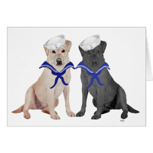 Labradors Retrievers jaunes et noirs