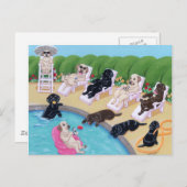 Labradors voor pools briefkaart (Voorkant / Achterkant)