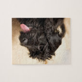 Labraoodle black jigsaw puzzle (Horizontal)