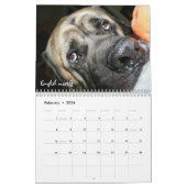 L'abri poursuit le calendrier (Feb 2026)