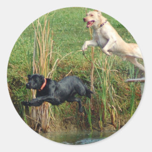 Labs Ronde Sticker