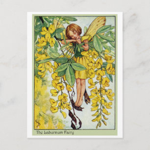 Laburnum Fairy Briefkaart
