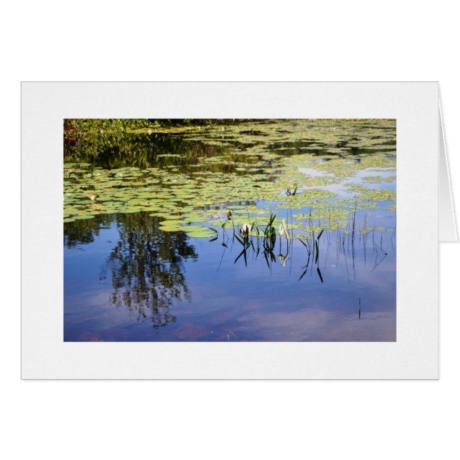 Lac Caroline (Devant horizontal)