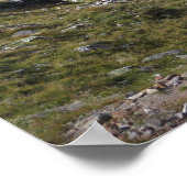 Lac Cornu Franse Alpen Poster (Hoek)