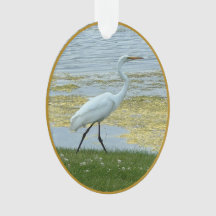 Lac d'aigrette oiseau