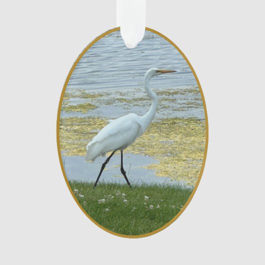 Lac d'aigrette oiseau (devant)