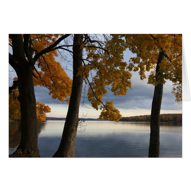 "Lac de Cazenovia Automne" (Devant horizontal)