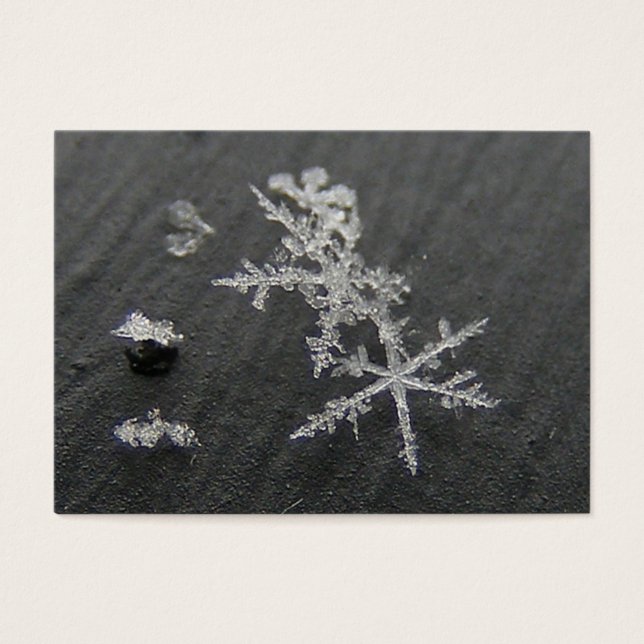 Lac de neige 49 ~ ATC (Devant)