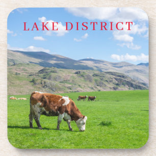 Lac District Vache vue pâturage dessous de verre